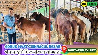 Gorur Haat Chiknagul Bazar Jointapur - Sylhet গরুর হাট চিকনাগুল বাজার জৈন্তাপুর - সিলেট