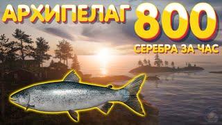 800 серебра за час | Лосось Ладожский | ФАРМ | Архипелаг | Русская Рыбалка 4