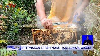 Desa Wisata Peternak Lebah Madu di Atas Perbukitan Simalungun, Sumatra Utara #BuletiniNews 20/03