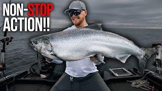 INSANE Salmon Bite on Lake Michigan! (NON STOP Action!!)