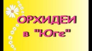 ПОТРЯСАЮЩИЙ завоз ОРХИДЕЙ,28.02.21,магазин "Юг",Самара,ул.Авиационная,8.