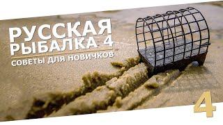 РУССКАЯ РЫБАЛКА 4 - Советы для новичков, как играть в 2024 / Донка, прокачка для новичка / Стрим 4