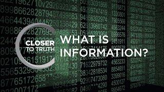 What is Information? | Episode 1403 | Closer To Truth