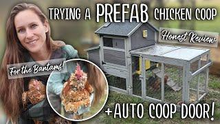 I tried a prefab CHICKEN COOP - for the bantams! + Auto Coop Door (HONEST REVIEW)