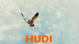 HUDI  -  My way