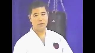 Punching goju-ryu karate Morio Higaonna