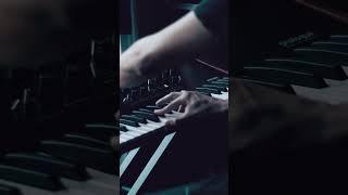 Nord Drum 3p and Korg Prologue doing something neat and dark #synth