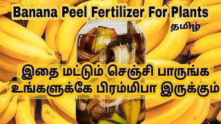 இதை செய்தல் மொட்டுகள்,பிஞ்சிகள்,பூக்கள்,விழாது/How to make banana peel fertilizer/வாழை பழத்தோல் உரம்