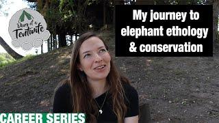 My journey to elephant ethology and a conservation career | How I got my animal  job