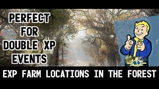 Best XP Farm Locations in Fallout 76 2021 || The Forest