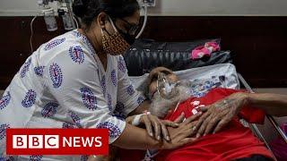 India first country to record 400,000 daily Covid cases   - BBC News