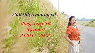 Tập 8: Giới thiệu chung về cung Song Tử (Gemini) | 21/05 - 20/06