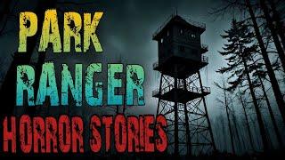 Scary Park Ranger Stories for a Dark Fall Night | Forest Ranger, National Park, Missing Person