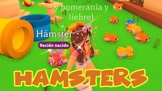 HAMSTERS - ADOPT ME ROBLOX - ACTUALIZACIÓN JUEVES | Yesly Gamer