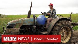 Китайцы захватывают русскую деревню? Мы поехали и узнали