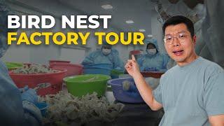I Have More Questions After This Birdnest Factory Visit