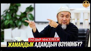 ЖАМАНДЫК АДАМДЫН ӨЗҮНӨНБҮ. ТАГДЫР МАСЕЛЕСИ. (зарыл сабак).  Шейх Чубак ажы