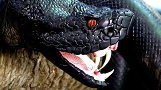100 Самых Опасных Змей в Мире
