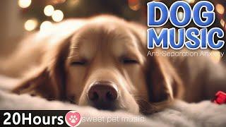 Dogs sleep peacefully. Dog's favorite music Dog's sleep music｜Stress relief music