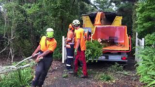 Jensen A141 XL, Alfa Contracts NZ Ltd, Tree King and Arbcon