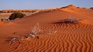 Across Australia - in the footsteps of Burke and Wills