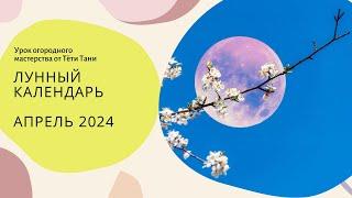 Лунный посевной календарь на апрель 2024 г.  СЕЕМ СЕМЕНАМИ.