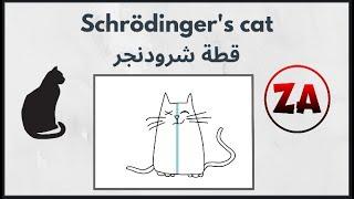 Schrodinger's Cat | قطة شرودنغر والأكوان المتعددة