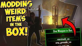 MODDING WEIRD WEAPONS INTO THE MYSTERY BOX! (Zombie Mod Trolling)