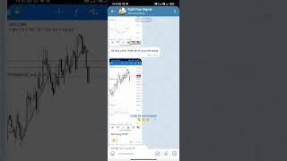 Telegram Channel for Signal for Gold.