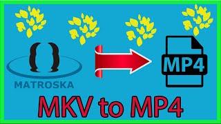 Как изменить \ поменять формат видео mkv to mp4  XVID4PSP мкв в мп4