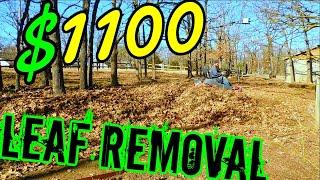 $1100 leaf clean up / Talking about pricing and clients