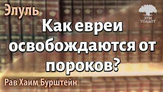 Как евреи освобождаются от пороков? Рав Хаим Бурштейн