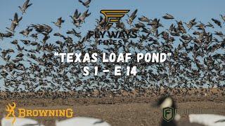 NONSTOP GEESE BY THE THOUSANDS! FINALLY get to hunt a LOAF POND in West Texas!! (UNBELIEVABLE HUNT)