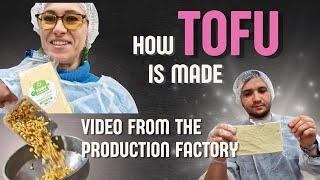 HOW TOFU IS MADE - Vegan Ivanych Factory in Russia