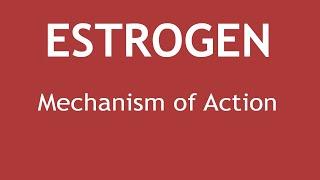 Mechanism of Action of Estrogen | Dr. Shikha Parmar