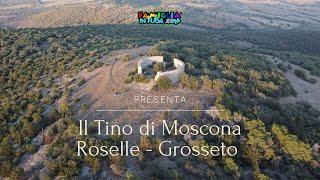 Tino di Moscona e Cava di Roselle a Grosseto