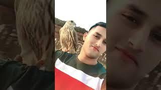 TikTok : This Salih Khan #shorts