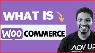 What is WooCommerce & How Does It Work? [E-Commerce Beginners: Start Here]