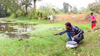 Fishing Video || Fishermen are fishing in the village pond using hooks || Amazing hook fishing 2024