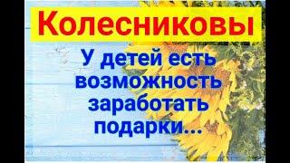 Колесниковы/Подарки/Обзор влогов