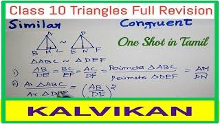 Class 10 Triangles One Shot In Tamil  / CBSE NCERT / Kalvikan