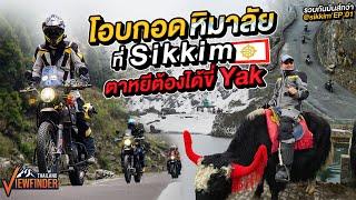 ตามหา Yak บนทะเลสาบศักดิ์สิทธิ์ สิกขิม อินเดีย l รวมกันมันส์กว่า @ Sikkim EP.1