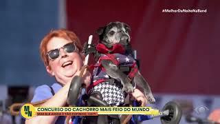 Pequinês linguarudo vence concurso de “cão mais feio do mundo”