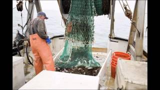 A Day at Sea on the Fishing Vessel Lady Jane.avi