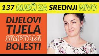 RIJEČI ZA SREDNJI NIVO - DIJELOVI TIJELA, SIMPTOMI I BOLESTI