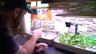 BEST Hydroponics Countertop System-  Lyko- GROW INDOORS!