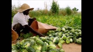 Cambodia & Sudan PhotoStory - Canada-UNDP Climate Change Adaptation Facility