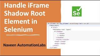 Handle tricky iframe Shadow Root WebElement using Selenium
