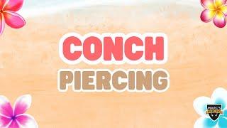 Inner Conch, Outer Conch, Helix, was ist was? | Marc's Piercing