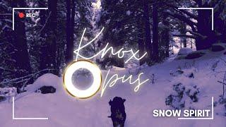 Snow Spirit - Knox Opus